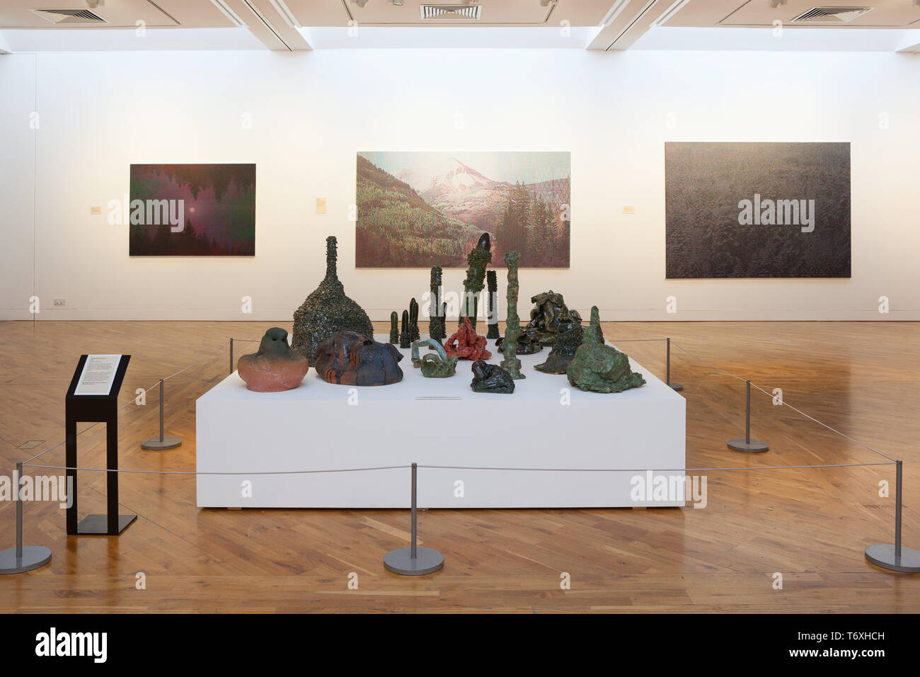 Hull, East Yorkshire, UK. 3e mai 2019. UK News : 'est cette planète Terre ?' est une nouvelle exposition à Alexej von à Hull, East Yorkshire. La nouvelle exposition explore l'avenir de la planète terre et présente le travail de neuf artistes. 'Est cette planète Terre ?' se déroule du 4 mai jusqu'au 28 juillet 2019 et est libre d'entrée. Alexej von, Hull, East Yorkshire, UK. 3e mai 2019. Credit : LEE BEEL/Alamy Live News Banque D'Images