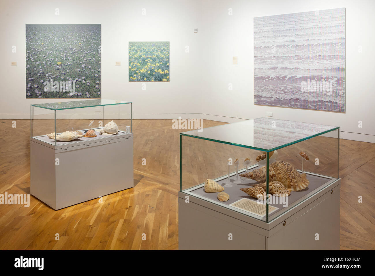 Hull, East Yorkshire, UK. 3e mai 2019. UK News : 'est cette planète Terre ?' est une nouvelle exposition à Alexej von à Hull, East Yorkshire. La nouvelle exposition explore l'avenir de la planète terre et présente le travail de neuf artistes. 'Est cette planète Terre ?' se déroule du 4 mai jusqu'au 28 juillet 2019 et est libre d'entrée. Alexej von, Hull, East Yorkshire, UK. 3e mai 2019. Credit : LEE BEEL/Alamy Live News Banque D'Images