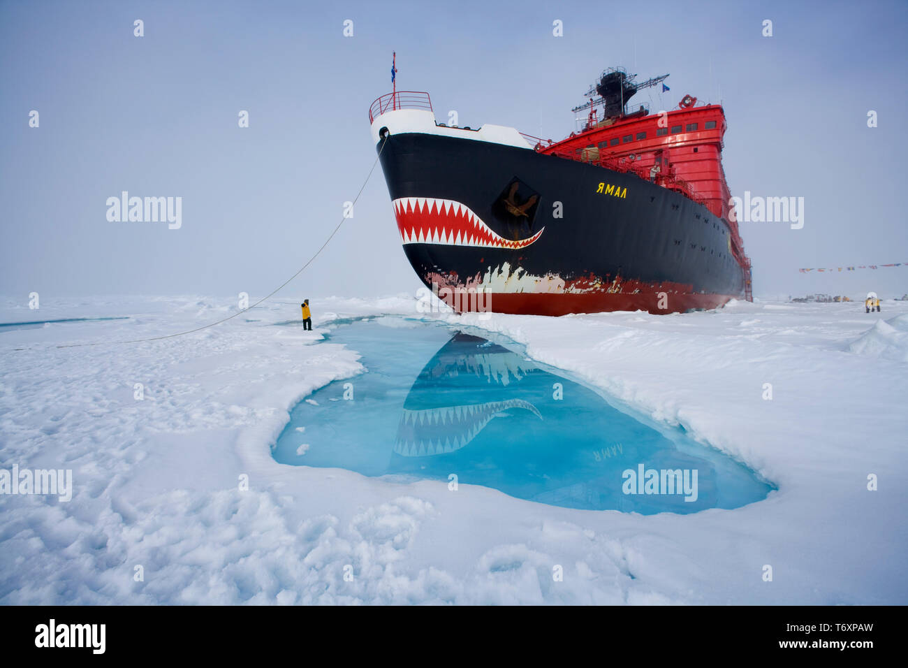 La Russie, de l'Arctique voyage au pôle Nord à bord du brise-glace nucléaire russe Yamal. Personne debout à côté de Hull pour l'échelle. Banque D'Images La Russie, de l'Arctique voyage au pôle Nord à bord du brise-glace nucléaire russe Yamal. Personne debout à côté de Hull pour l'échelle. Banque D'Images