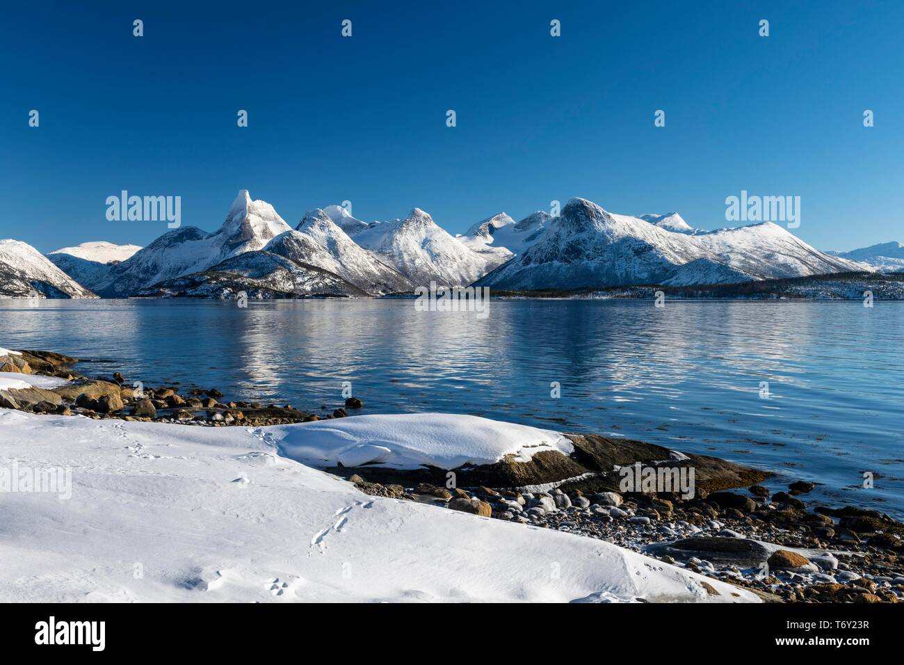 Paysage côtier par le fjord, Stetind, Norwegian national mountain, Tysfjord, Nordland, Norvège Banque D'Images