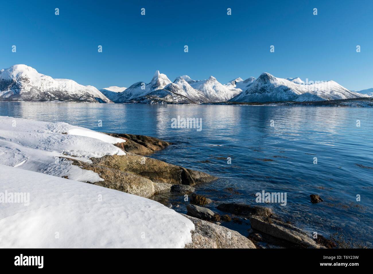 Paysage côtier par le fjord, Stetind, Norwegian national mountain, Tysfjord, Nordland, Norvège Banque D'Images