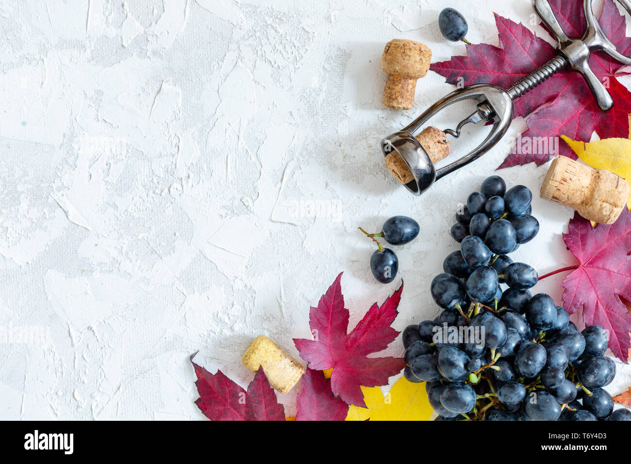 Le raisin noir, tire-bouchon et de feuilles aux couleurs automnales. Banque D'Images