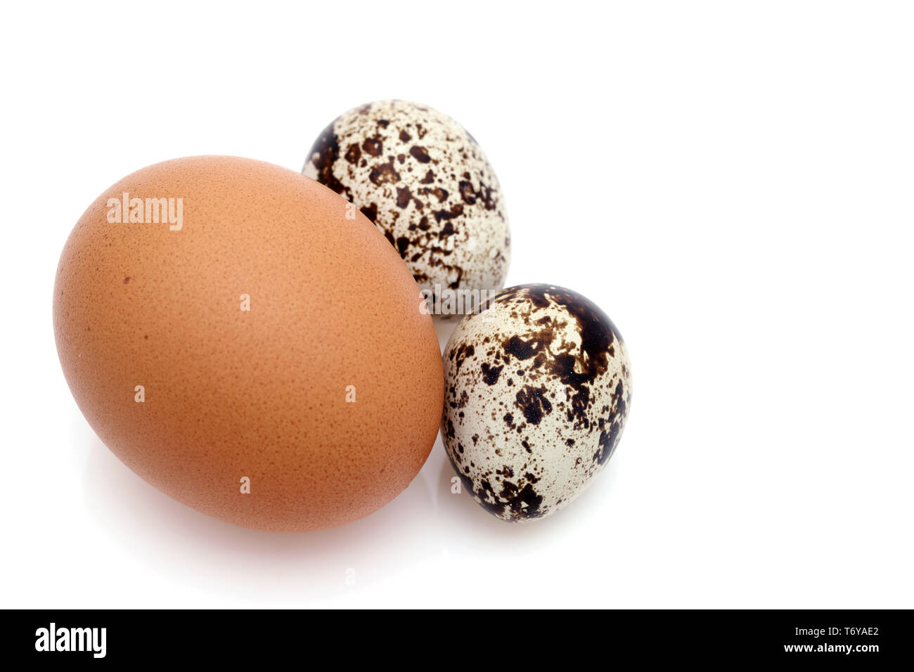 Faire revenir le poulet et les petits oeufs de caille sur fond blanc Banque D'Images
