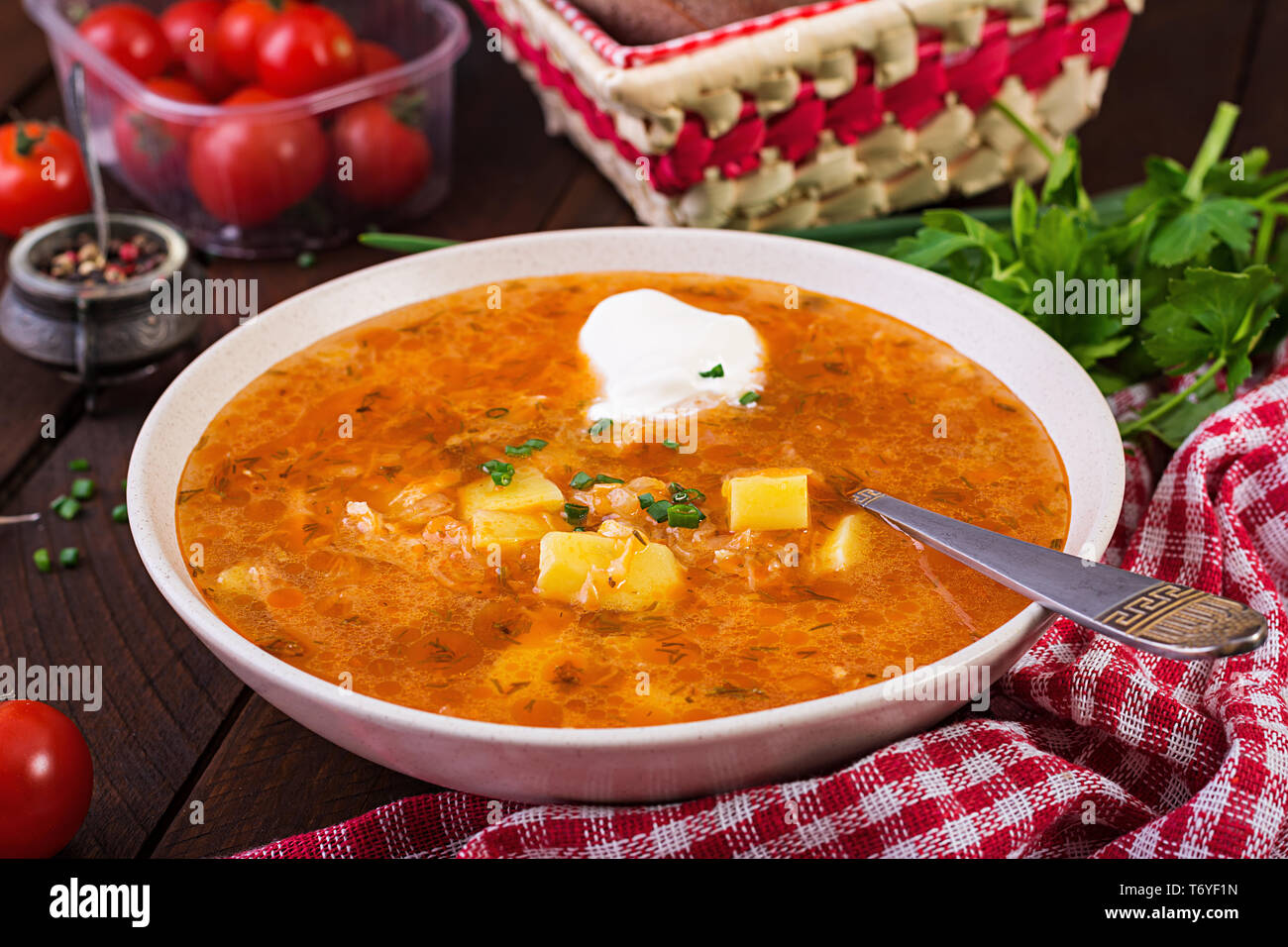 Soupe traditionnelle russe avec du chou - soupe de choucroute - shchi. Banque D'Images