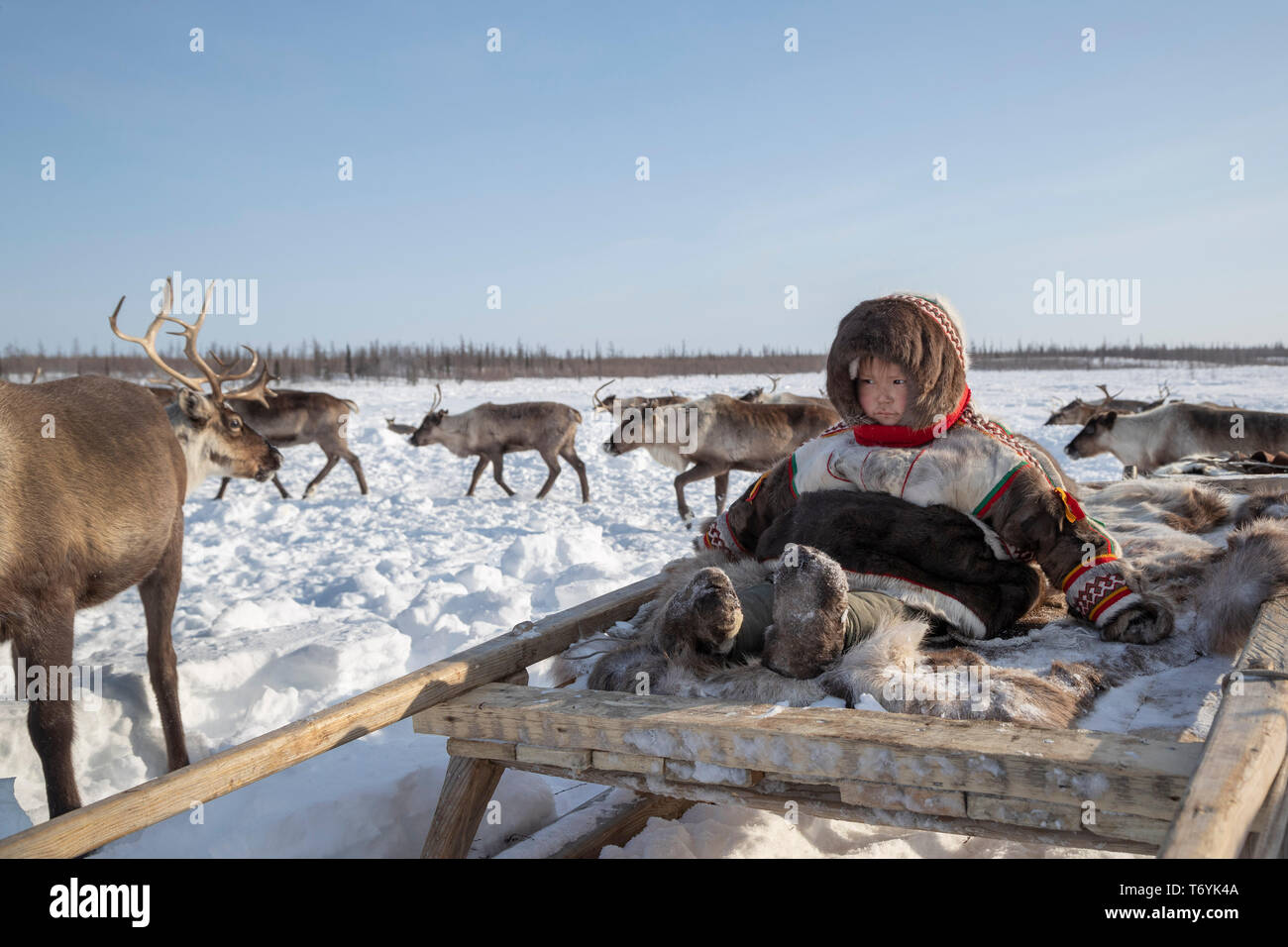 La Russie, dans la région autonome de Yamal-Nenets, péninsule de Yamal. Camp de nomades éleveurs de rennes Nenets, jeune enfant en tenue traditionnelle entourée par des rennes. Banque D'Images La Russie, dans la région autonome de Yamal-Nenets, péninsule de Yamal. Camp de nomades éleveurs de rennes Nenets, jeune enfant en tenue traditionnelle entourée par des rennes. Banque D'Images