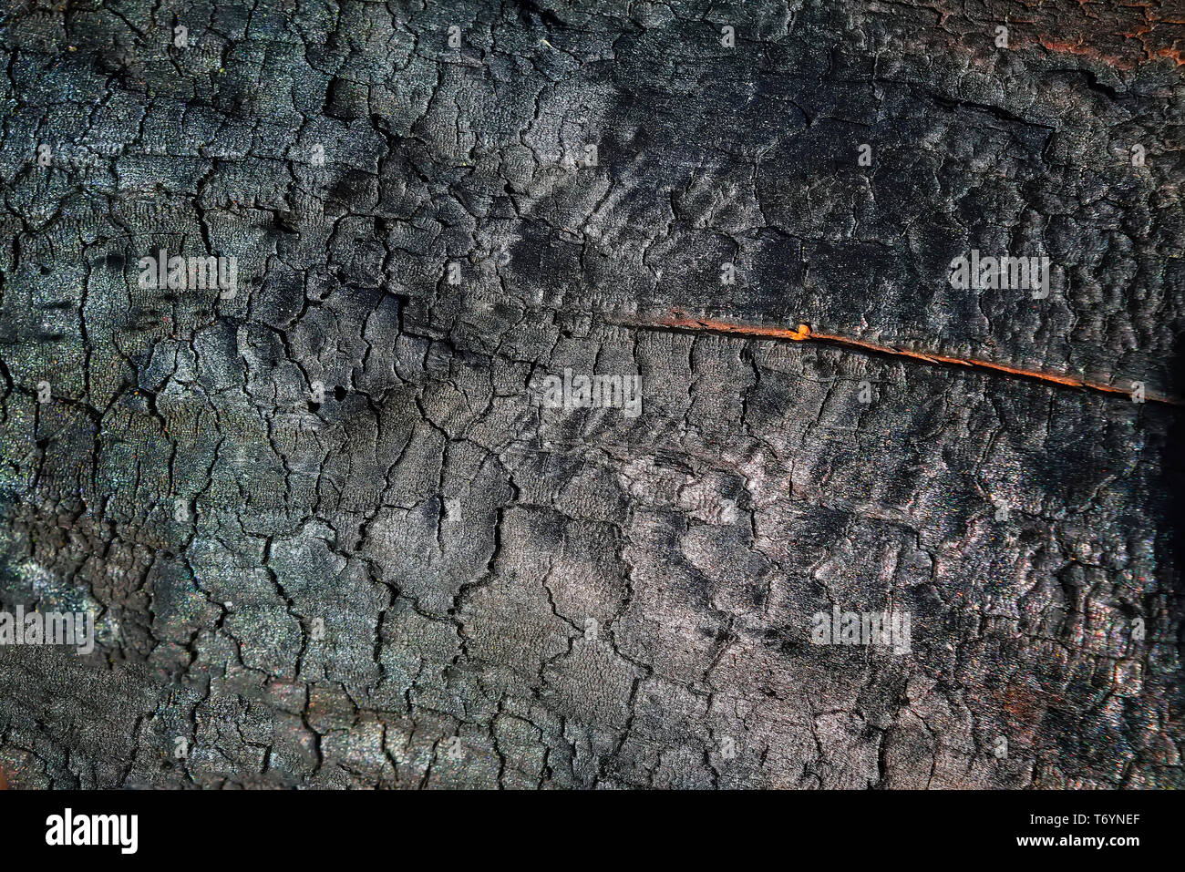 Planche de bois brûlé la texture. Surface en bois dur rayé brûlé. Banque D'Images