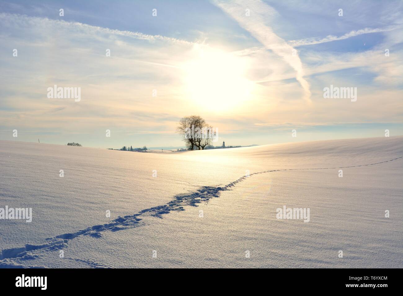 En hiver paysage Banque D'Images