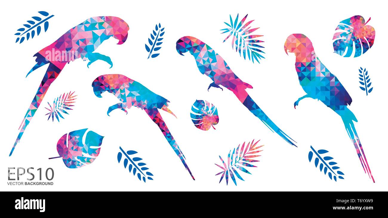 Des oiseaux tropicaux colorés Macaw et motif de feuilles de fond. Illustration de Vecteur