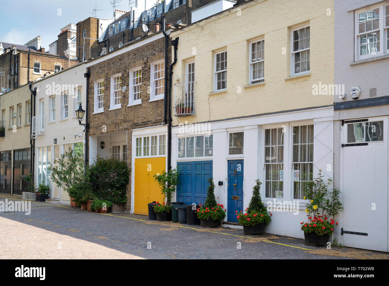 Maisons avec de petits arbres et d'arbustes en conteneurs dans le Queens Gate Mews, South Kensington, London, Englan Banque D'Images