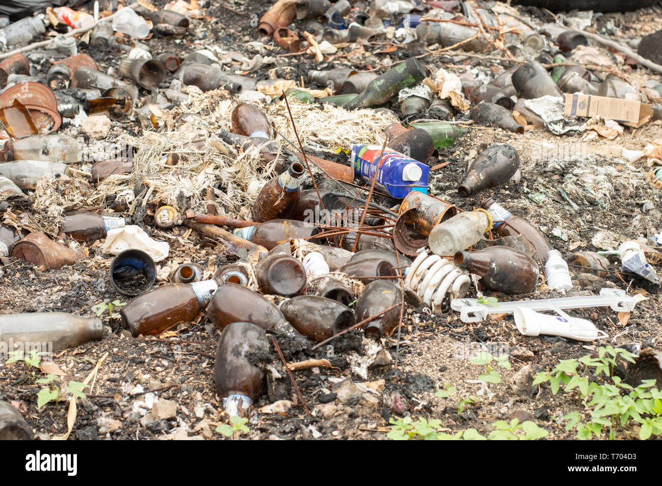 Les bouteilles de bière et d'ordures en général l'objet d'un dumping sur le côté de la route au Yucatan, Mexique. Banque D'Images