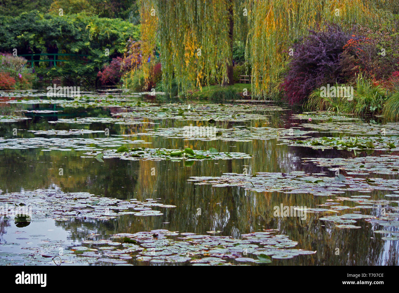 Le jardin de Monet Banque D'Images