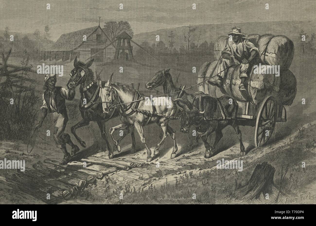 Gravure de l'Afro-américain de deux travailleurs de coton avec un chariot à cheval en Caroline du Nord, à partir de l' Harper's Weekly' Magazine, 1866. À partir de la Bibliothèque publique de New York. () Banque D'Images