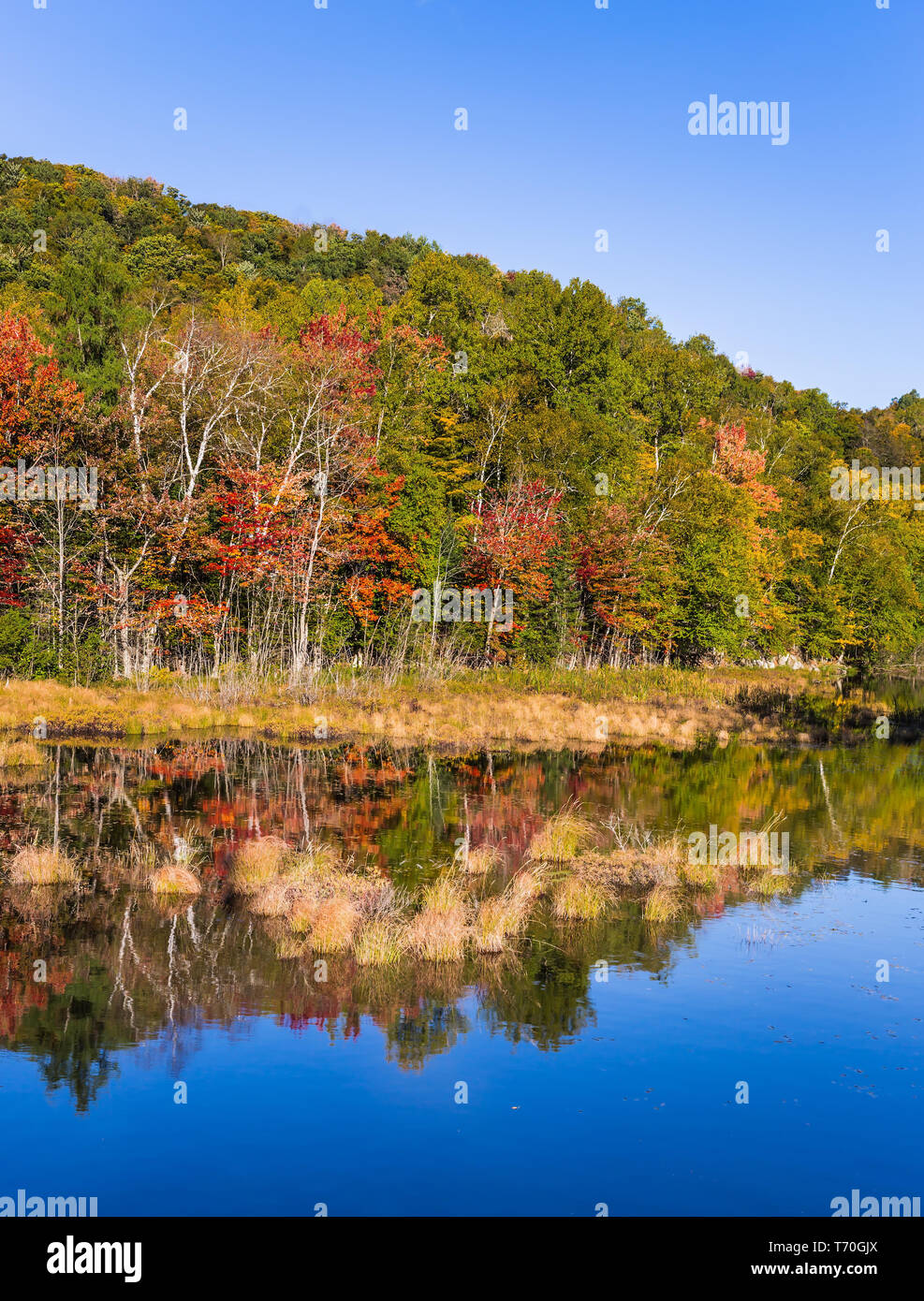 Le Canada français - Mont Tremblant Banque D'Images