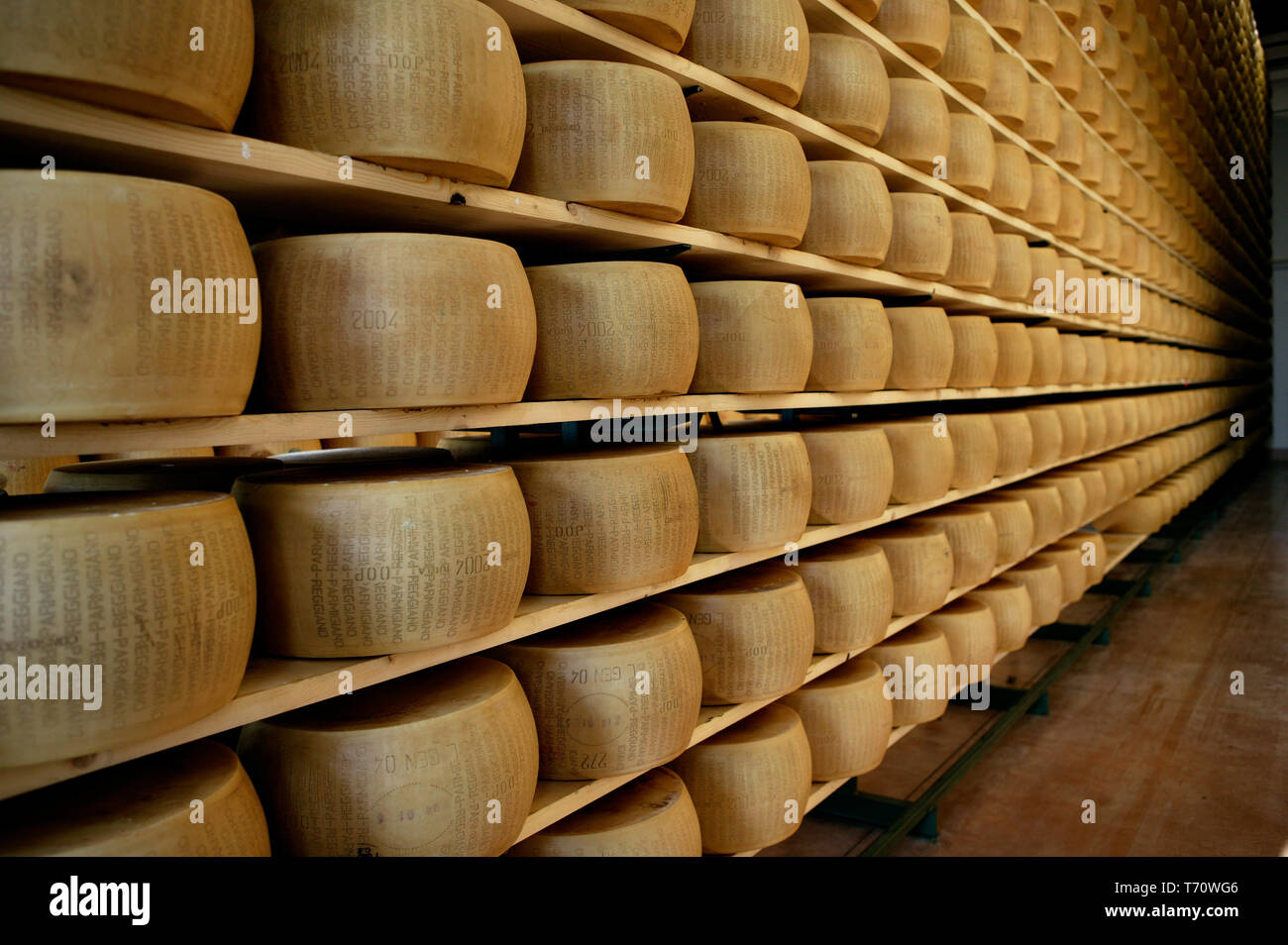 Forme di parmigiano reggiano. [ENG] Roues de fromage parmesan. Banque D'Images