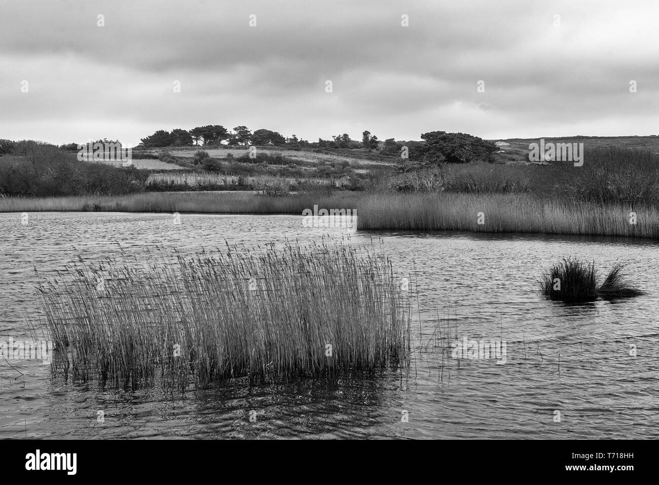 De la piscine de Porth Hellick des Maures Nature Trail, St Mary's, Îles Scilly, UK : version noir et blanc Banque D'Images