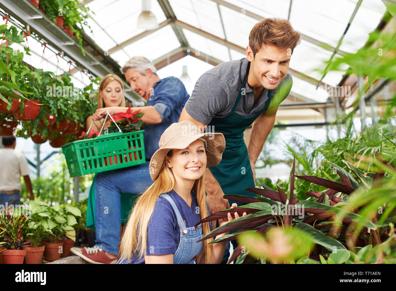 Les employés travaillent ensemble dans le centre de jardinage sur des plantes Banque D'Images