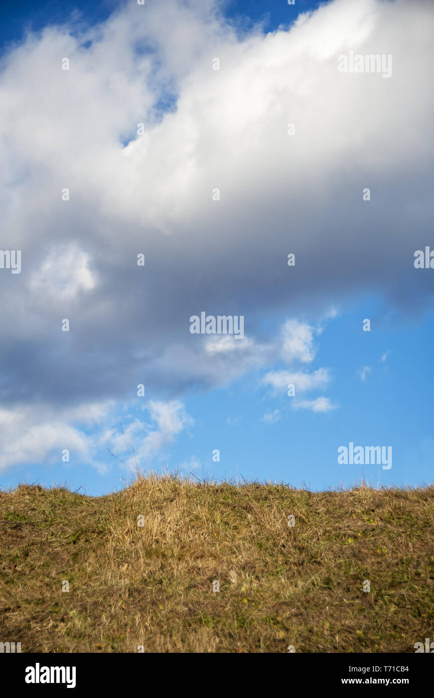 Prairie et de l'herbe avec ciel bleu et nuages Banque D'Images