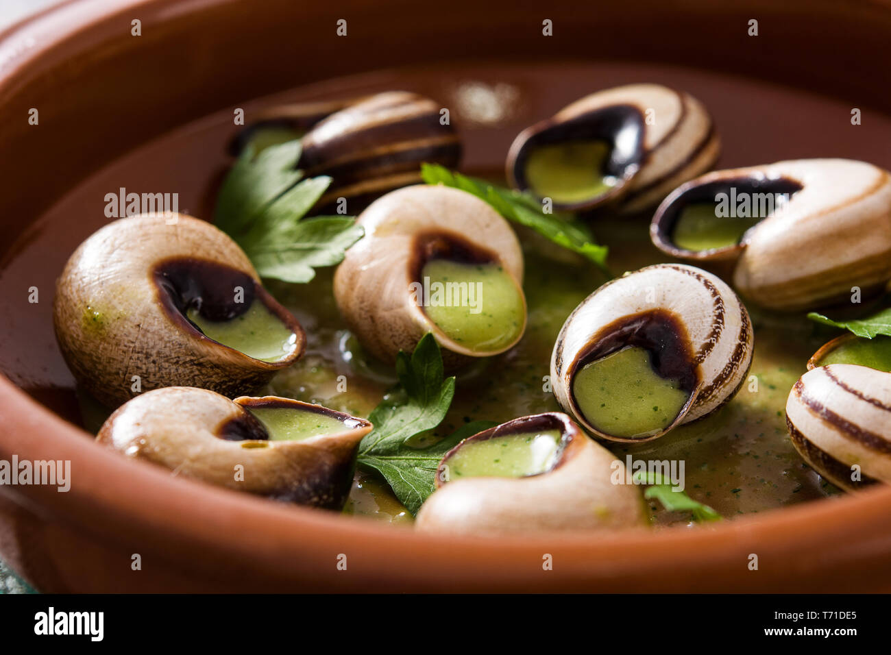 Escargots de Bourgogne. Les escargots aux herbes et beurre à l'ail. Banque D'Images