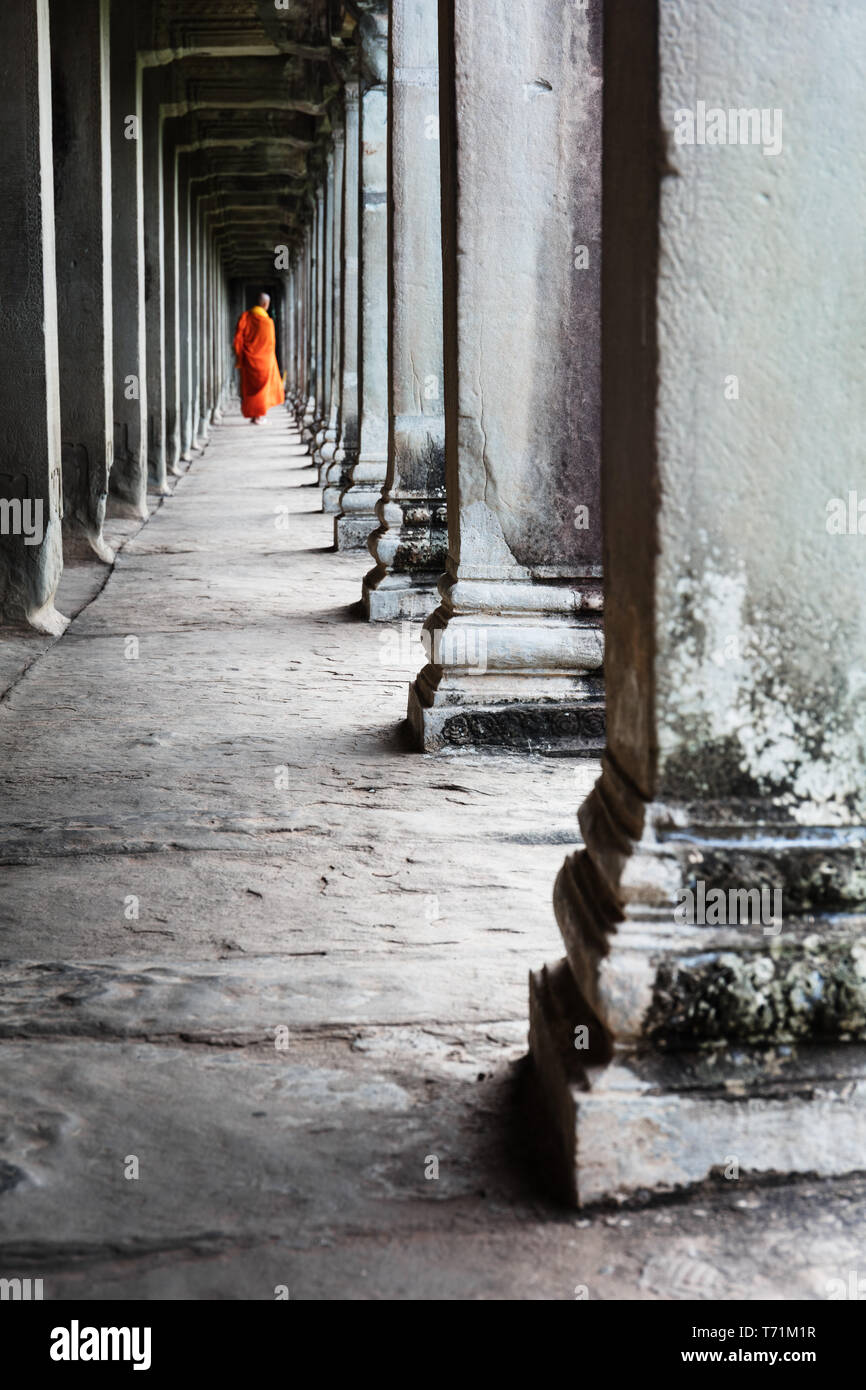 Moine bouddhiste au temple d'Angkor Wat Banque D'Images