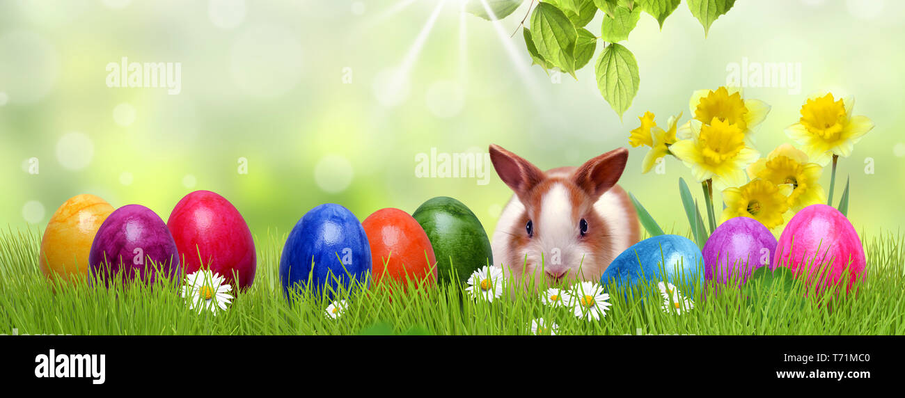 154 Pâques Banque D'Images