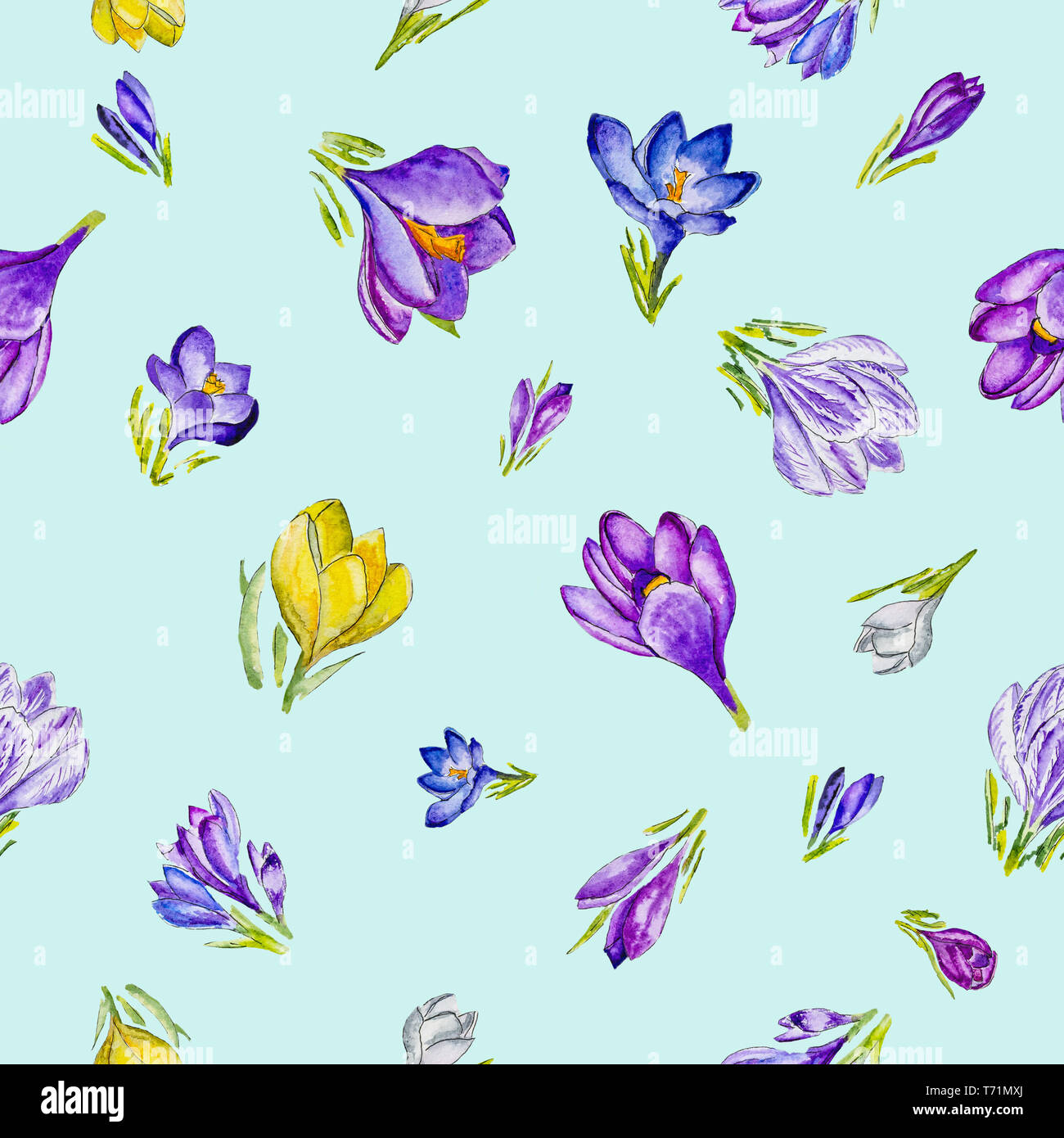 Motif floral de l'aquarelle avec crocus de printemps. Banque D'Images