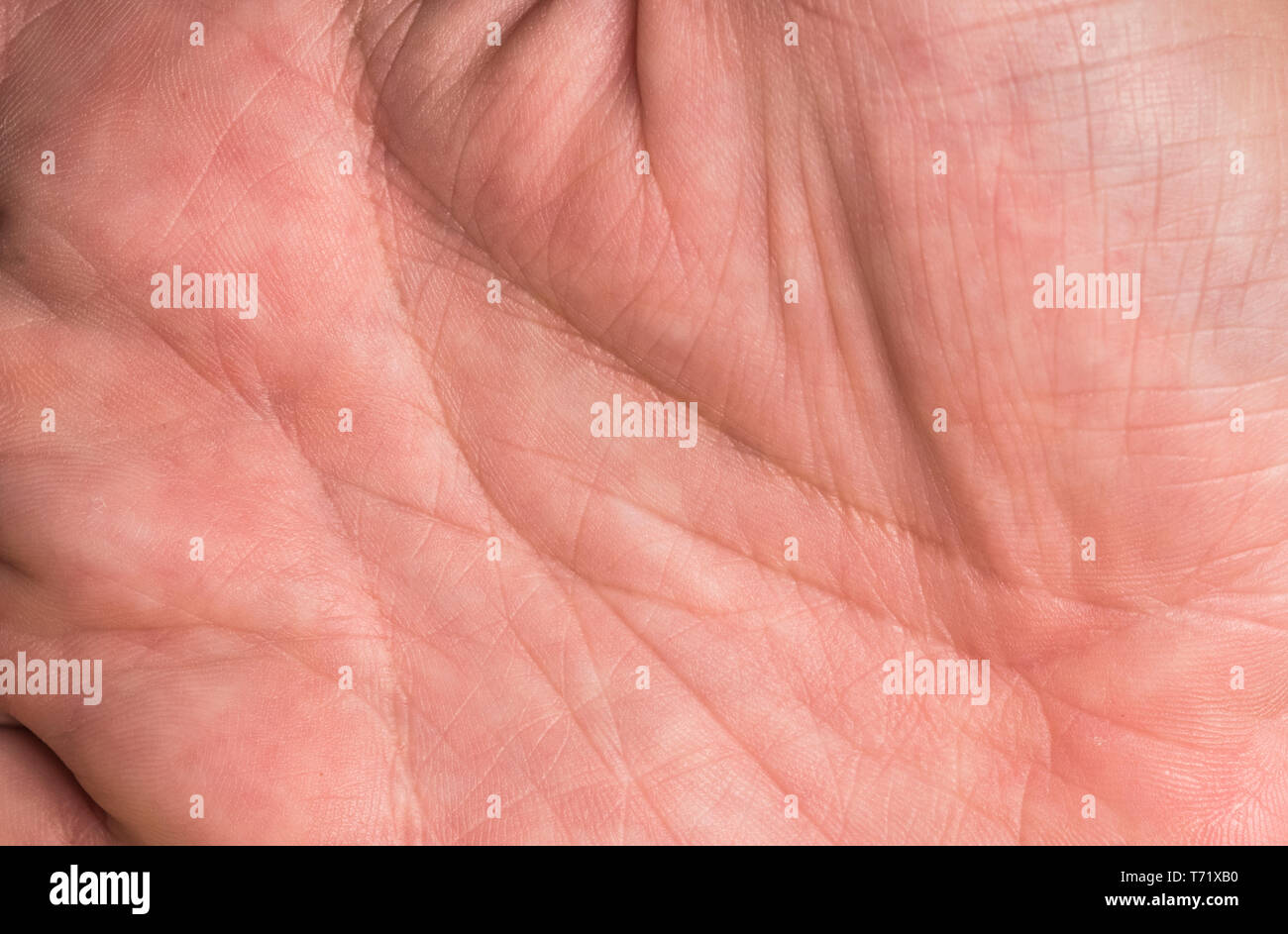 Paume de la main d'un homme de race blanche. Banque D'Images