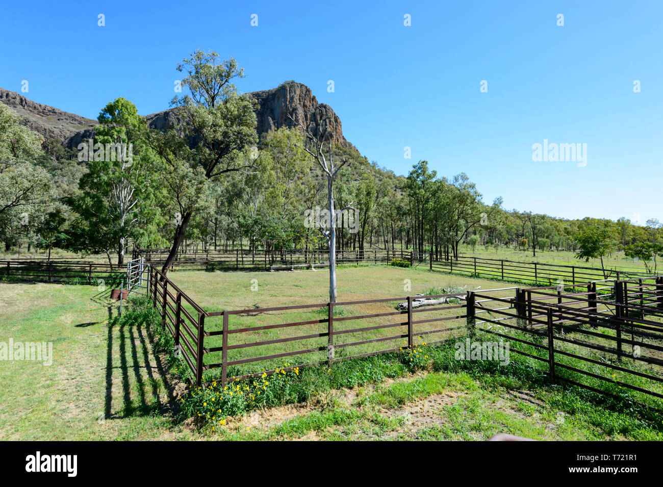 Enclos de bétail près de Minerva Hills National Park, au sud-ouest du Queensland, Queensland, Australie Banque D'Images