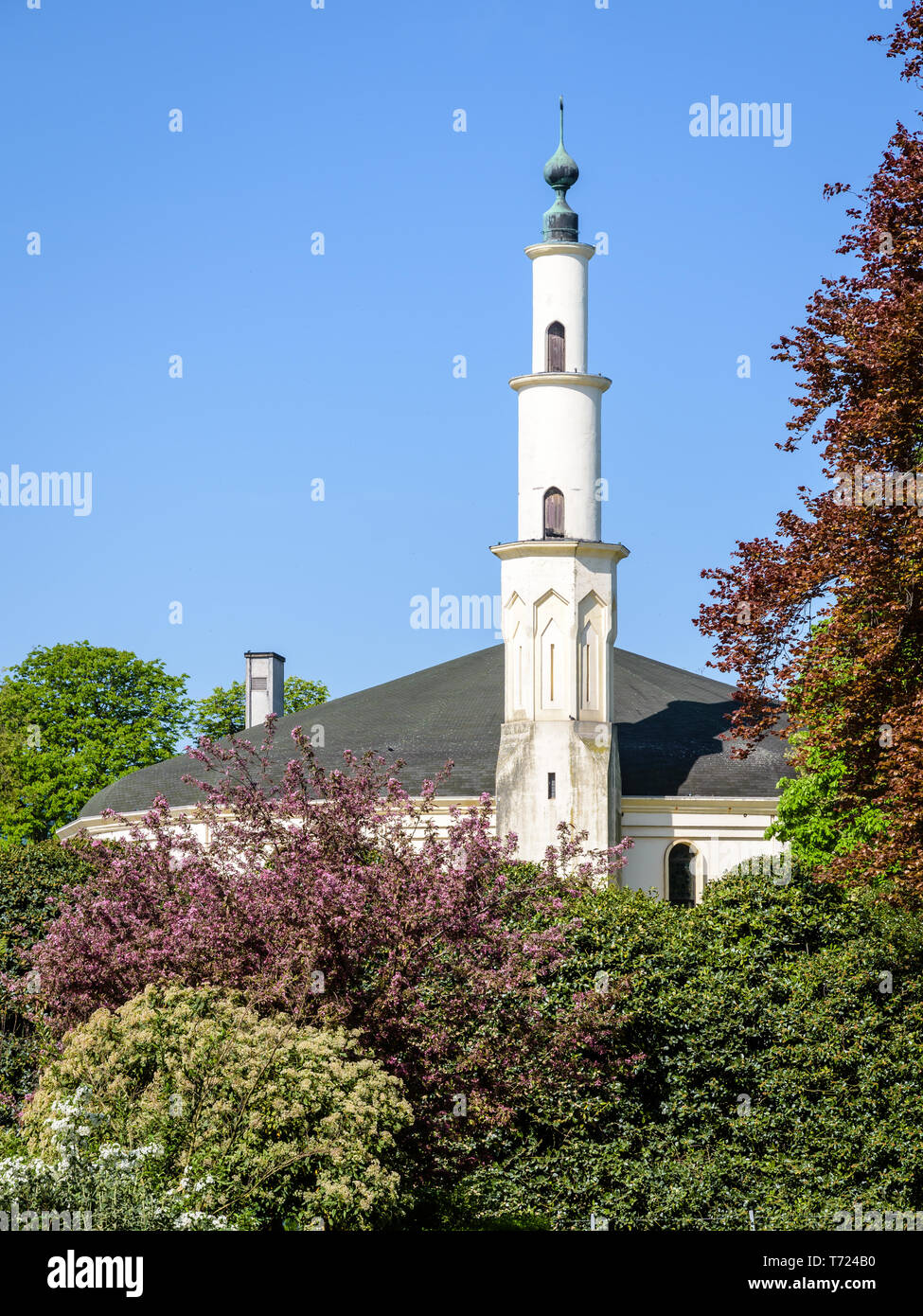 Le minaret de la grande mosquée de Bruxelles, Belgique, dépassant au-dessus des buissons dans le Parc du Cinquantenaire au printemps. Banque D'Images