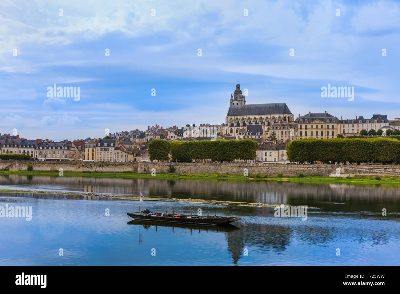 Le château de Blois, dans la vallée de la Loire - France Banque D'Images