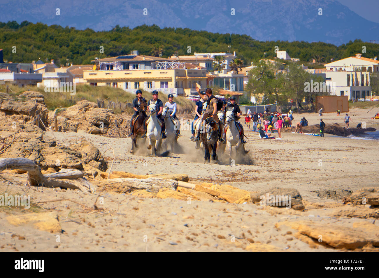 Fils de Marina - Majorque - Espagne - avril 2019 guides guide d'équitation Local : un groupe d'galoper sur la plage Banque D'Images