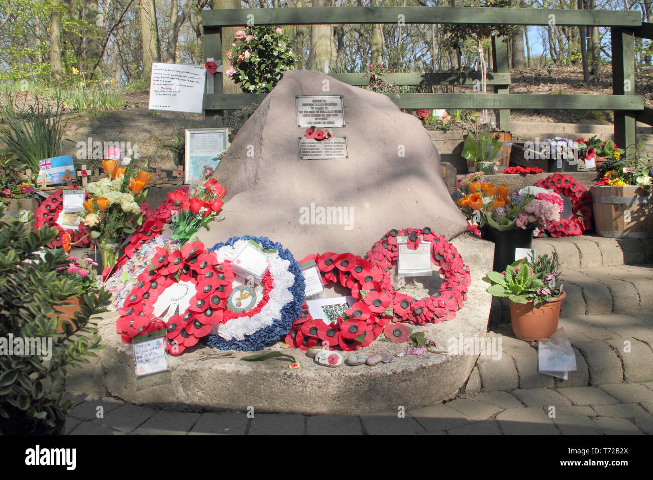 Mi Amigo, Endcliffe Memorial Park, Sheffield, South Yorkshire, Angleterre, Royaume-Uni Banque D'Images