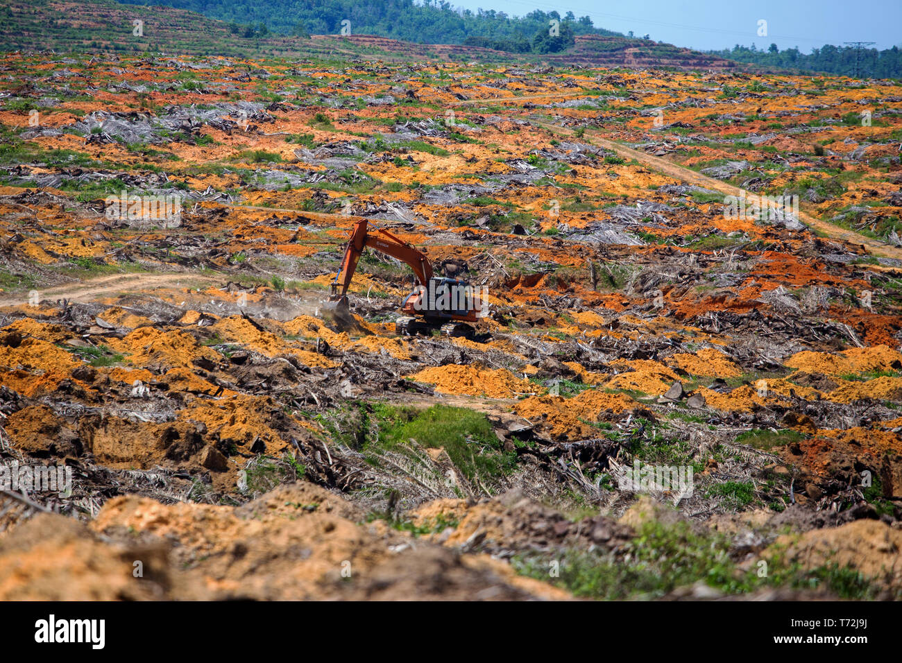 Un eathmoving travaille sur l'excavatrice Hitachi terres propices à une plantation de palmier à huile entre Kota Marudu et Kudat dans Sabah, Bornéo Malaisien Banque D'Images