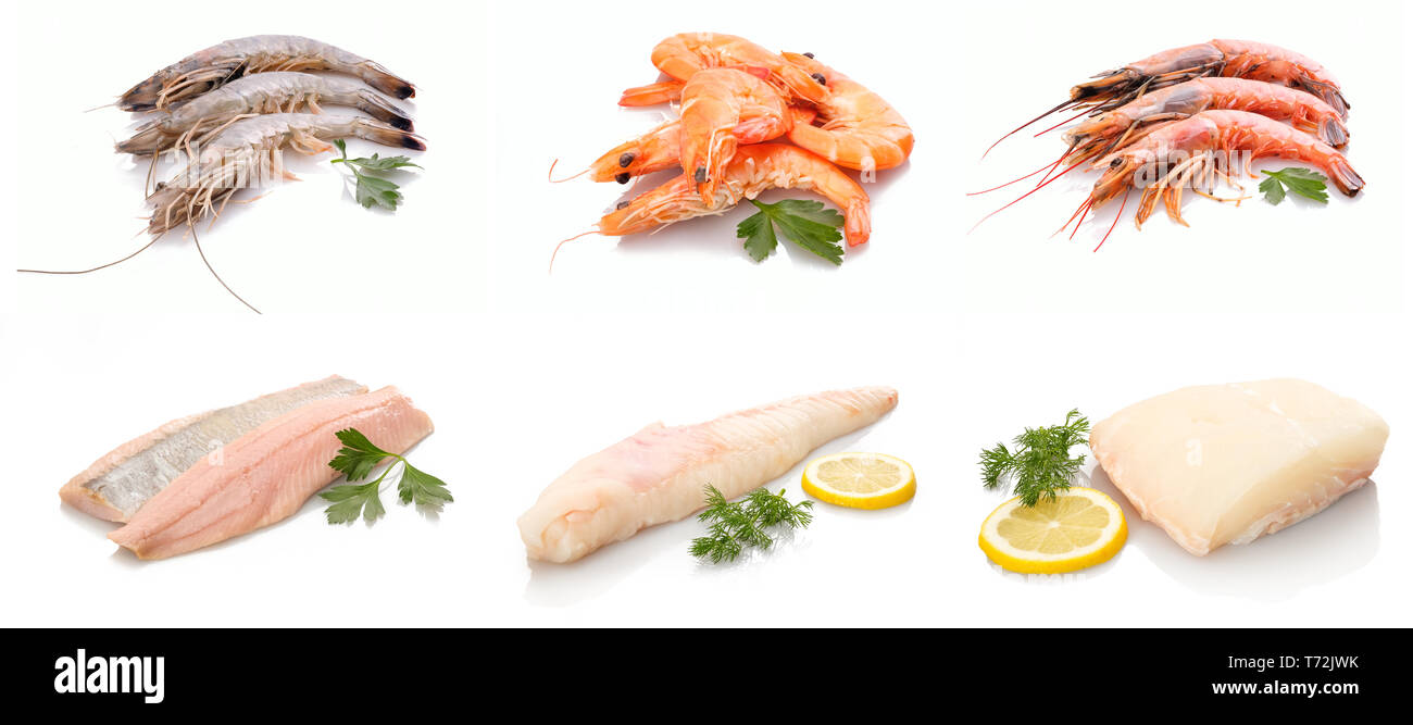 Les crustacés et fruits de mer et poissons de mer isolé blanc Banque D'Images