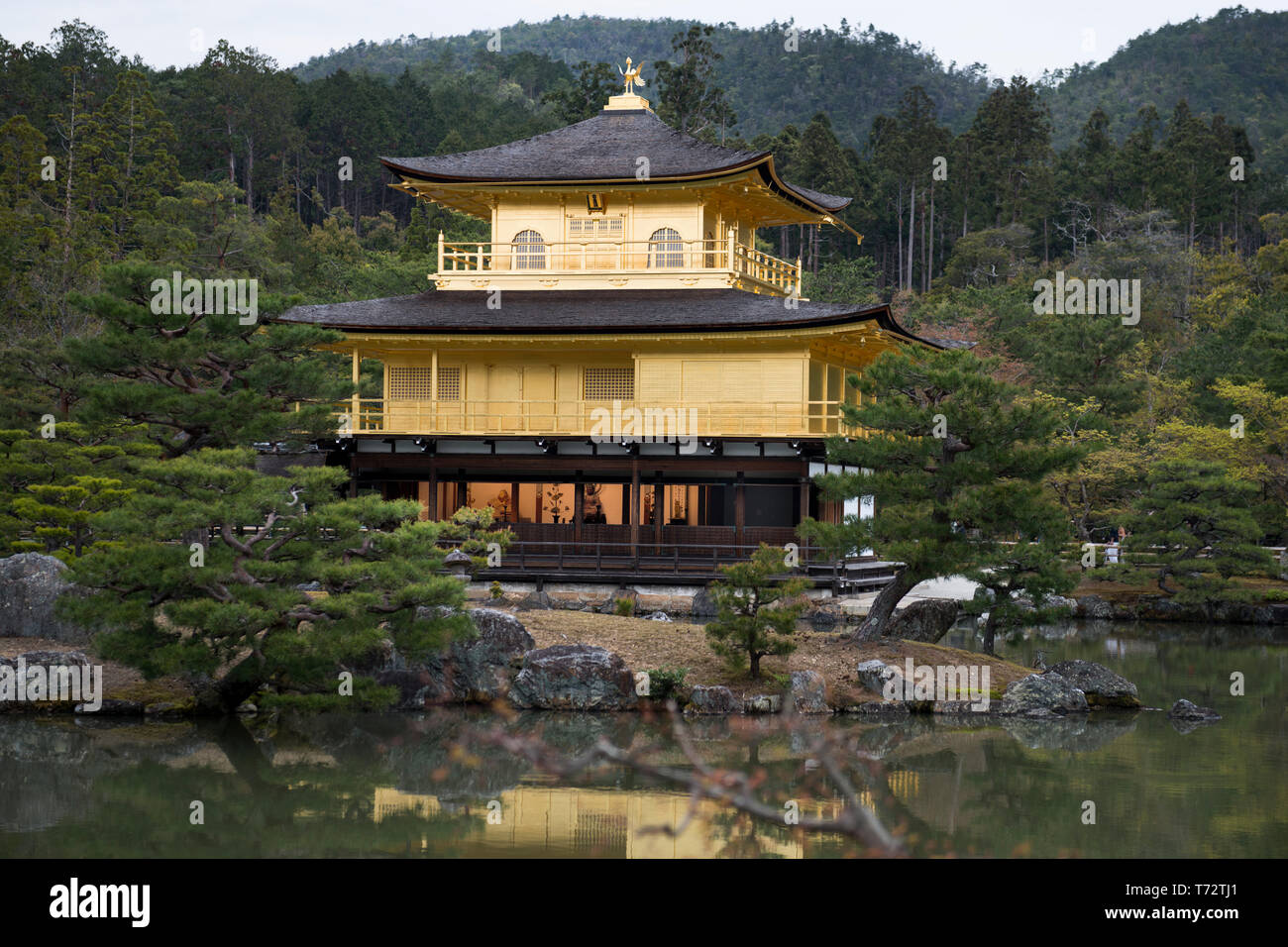 Le Kinkaku-ji, Temple du pavillon d'or, Kyoto, Japon Banque D'Images