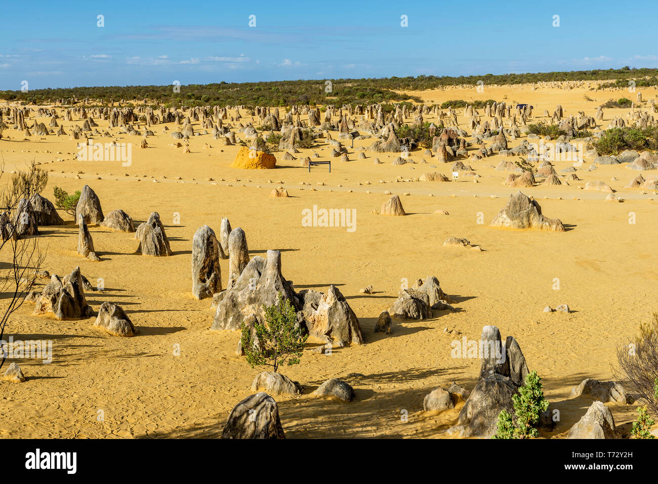 Belle vue sur le Désert des Pinnacles avant le coucher du soleil, l'ouest de l'Australie Banque D'Images
