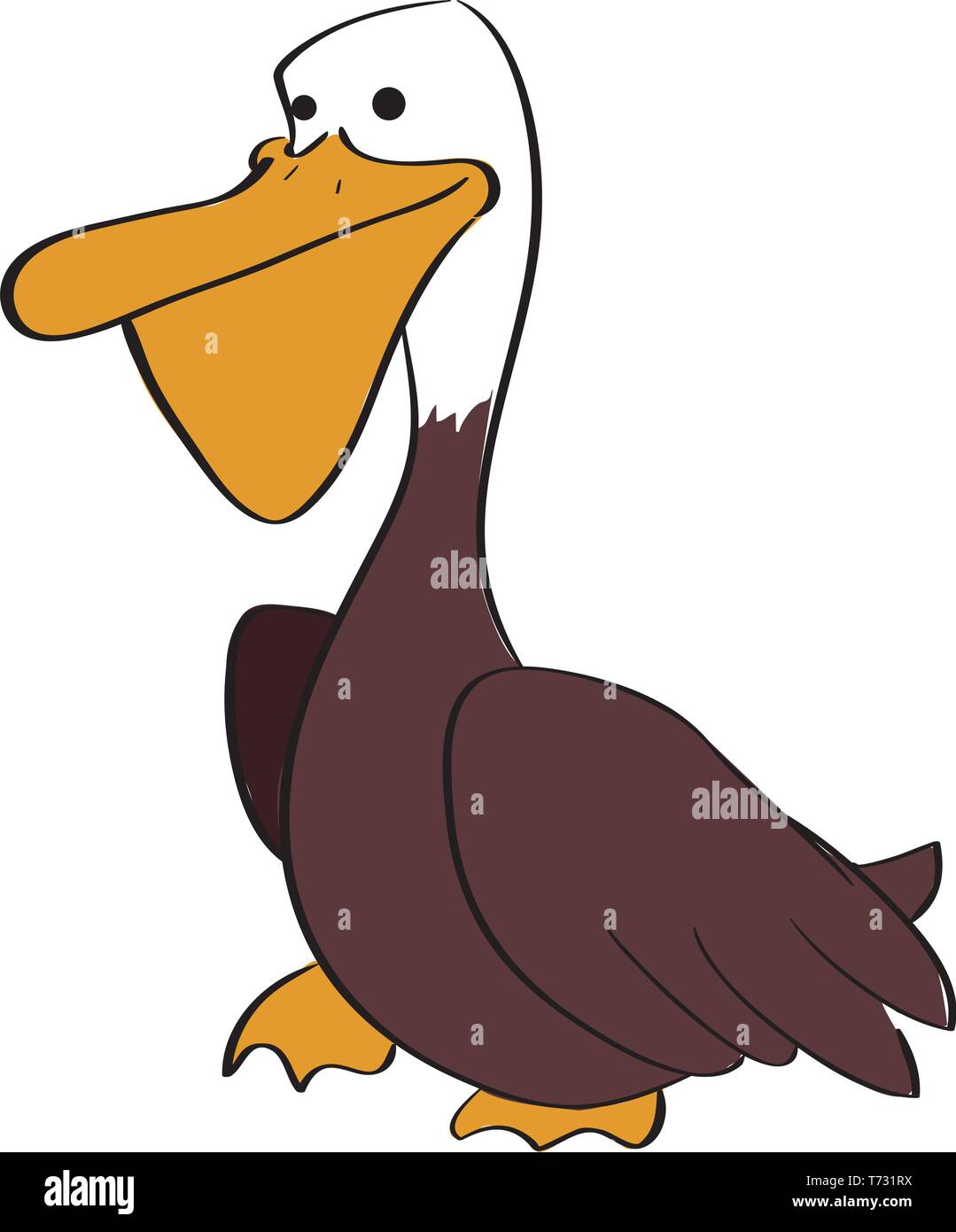 Bebe Pelican Brun Banque D Image Et Photos Alamy