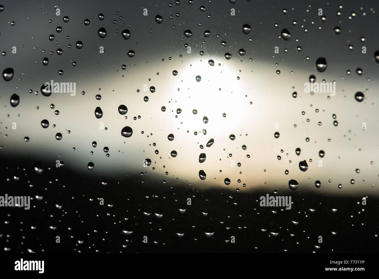 Goutte d'eau sur la fenêtre Banque D'Images