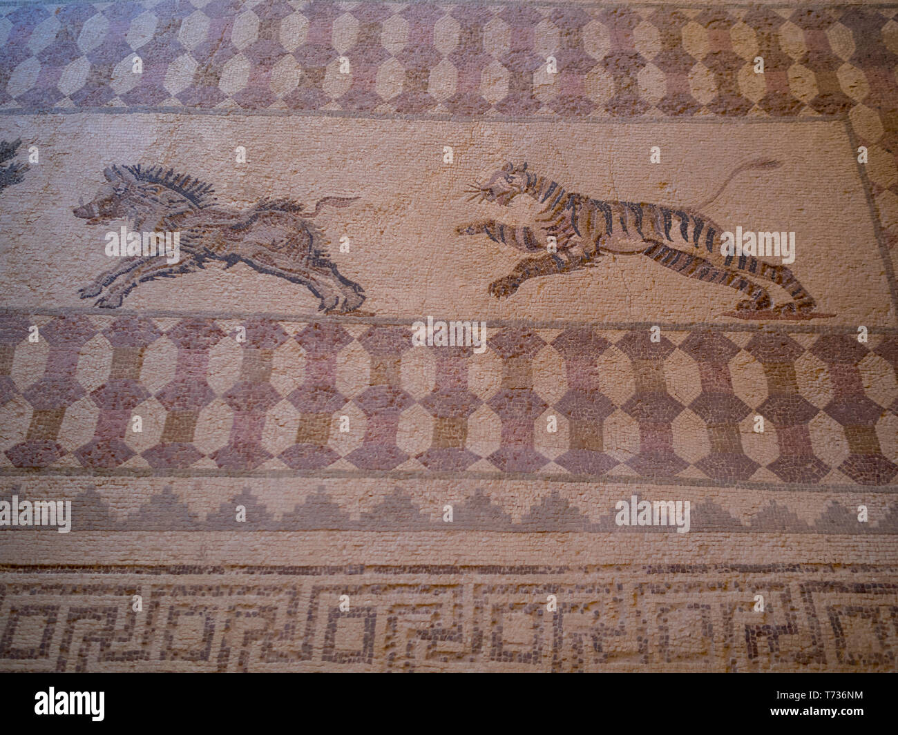 Scène de chasse mosaïque de la Maison de Dionysos dans le site archéologique de Paphos Banque D'Images