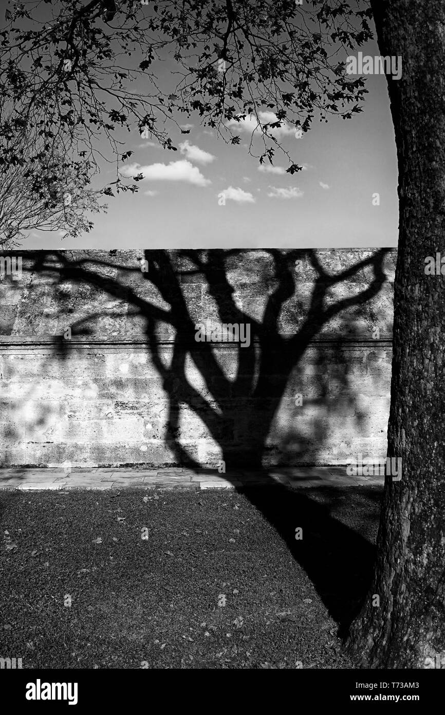 Ombre de l'arbre Plan Sur mur de pierre Banque D'Images Ombre de l'arbre Plan Sur mur de pierre Banque D'Images