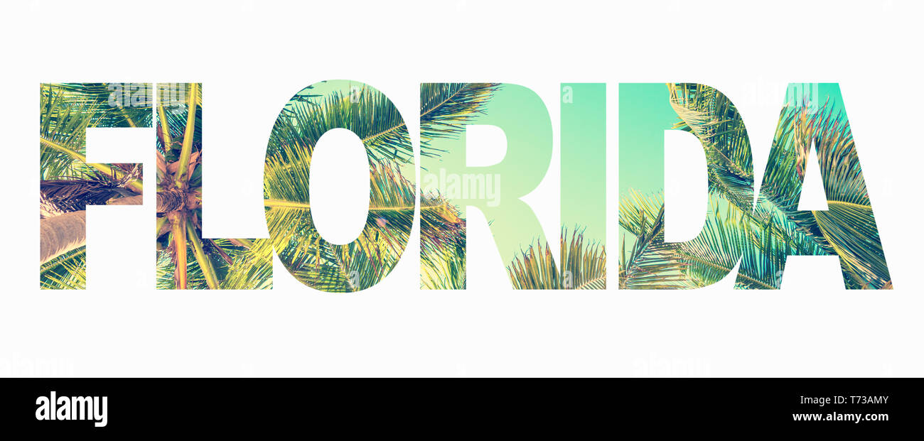 Mot Floride avec palmiers sur fond blanc Banque D'Images