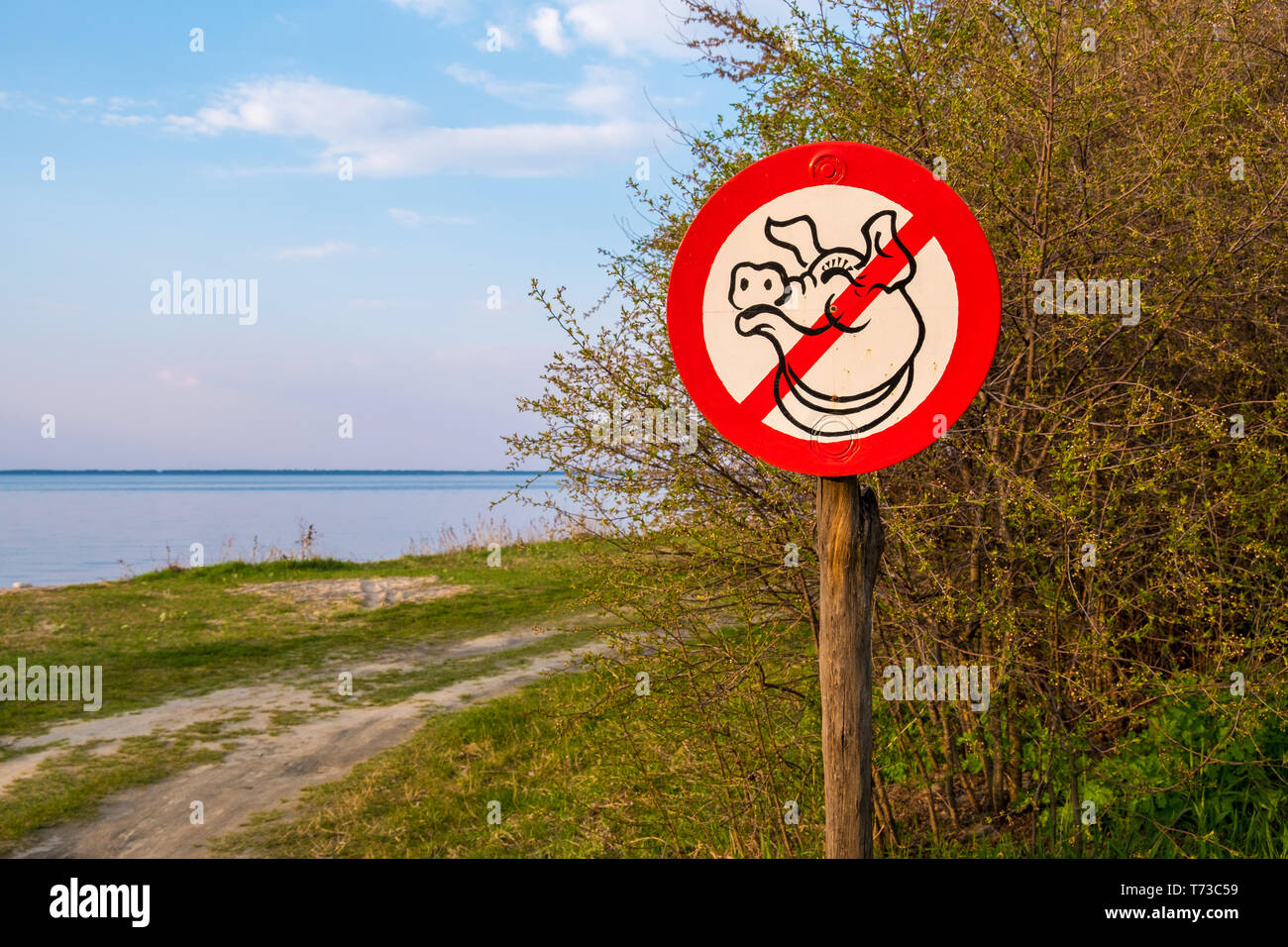 Région de Kiev , Ukraine - Avril 21, 2019 : un signe représentant un cochon, appelant à ne pas les déchets dans les bois. Région de Kiev, Ukraine Banque D'Images