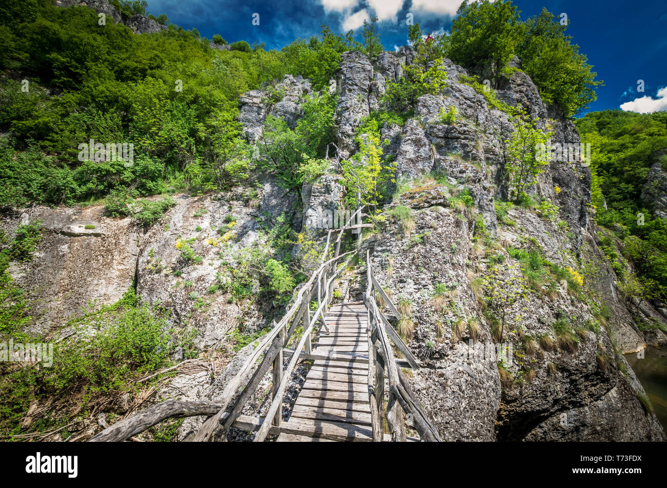 Sperme Canyon, la Bulgarie. Pont de bois sur la rivière dans une forêt luxuriante Banque D'Images