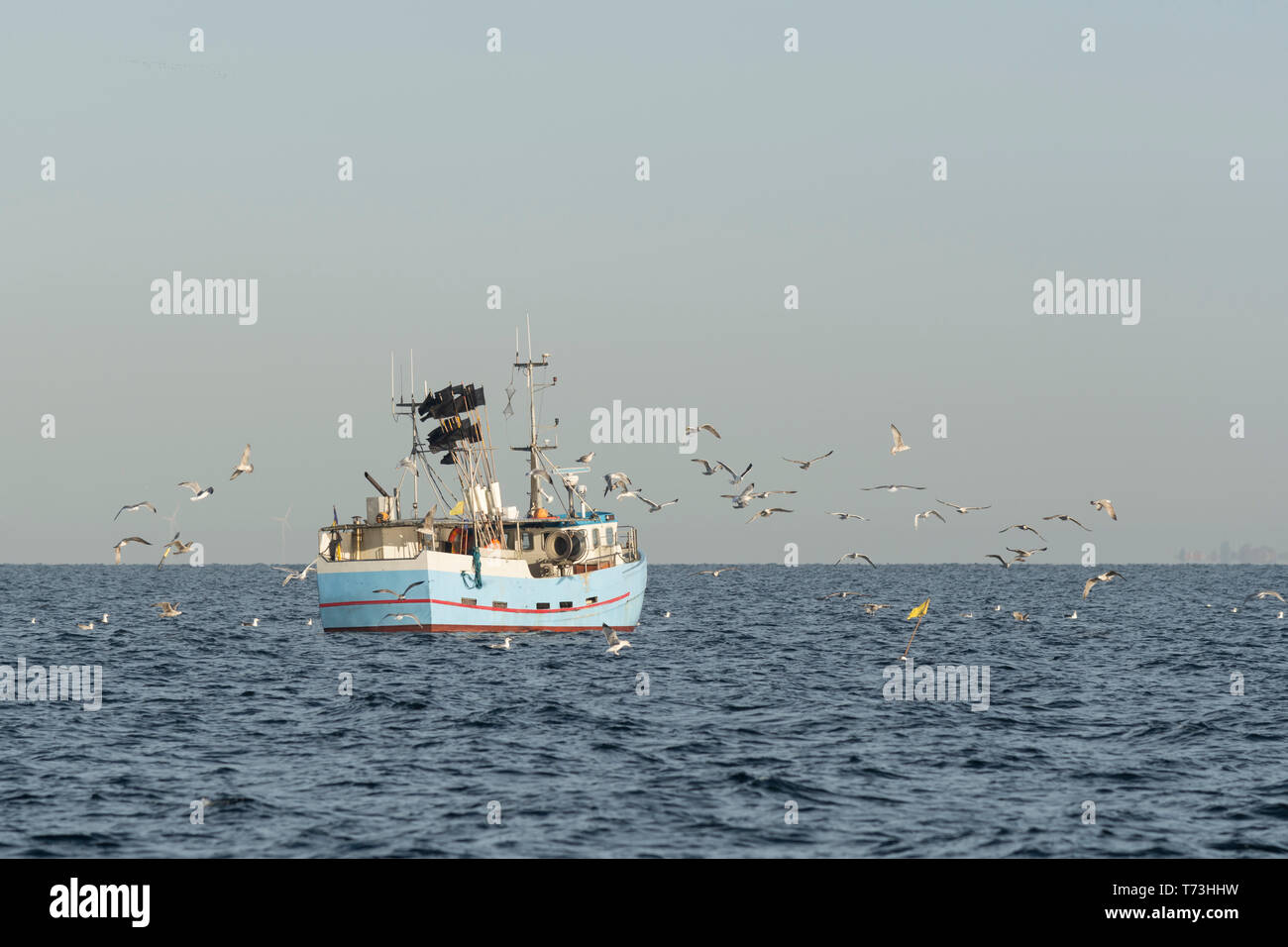 Bateau de pêche entouré par les mouettes Banque D'Images