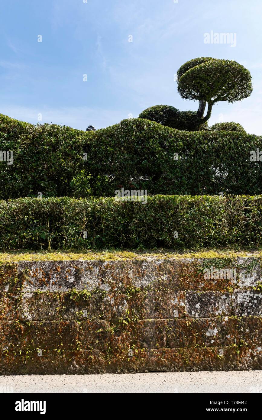 Le Jardin de Sata Naotada, Chiran Samurai Residence Garden, ville de Kyushu Minami, préfecture de Kagoshima, Japon Banque D'Images