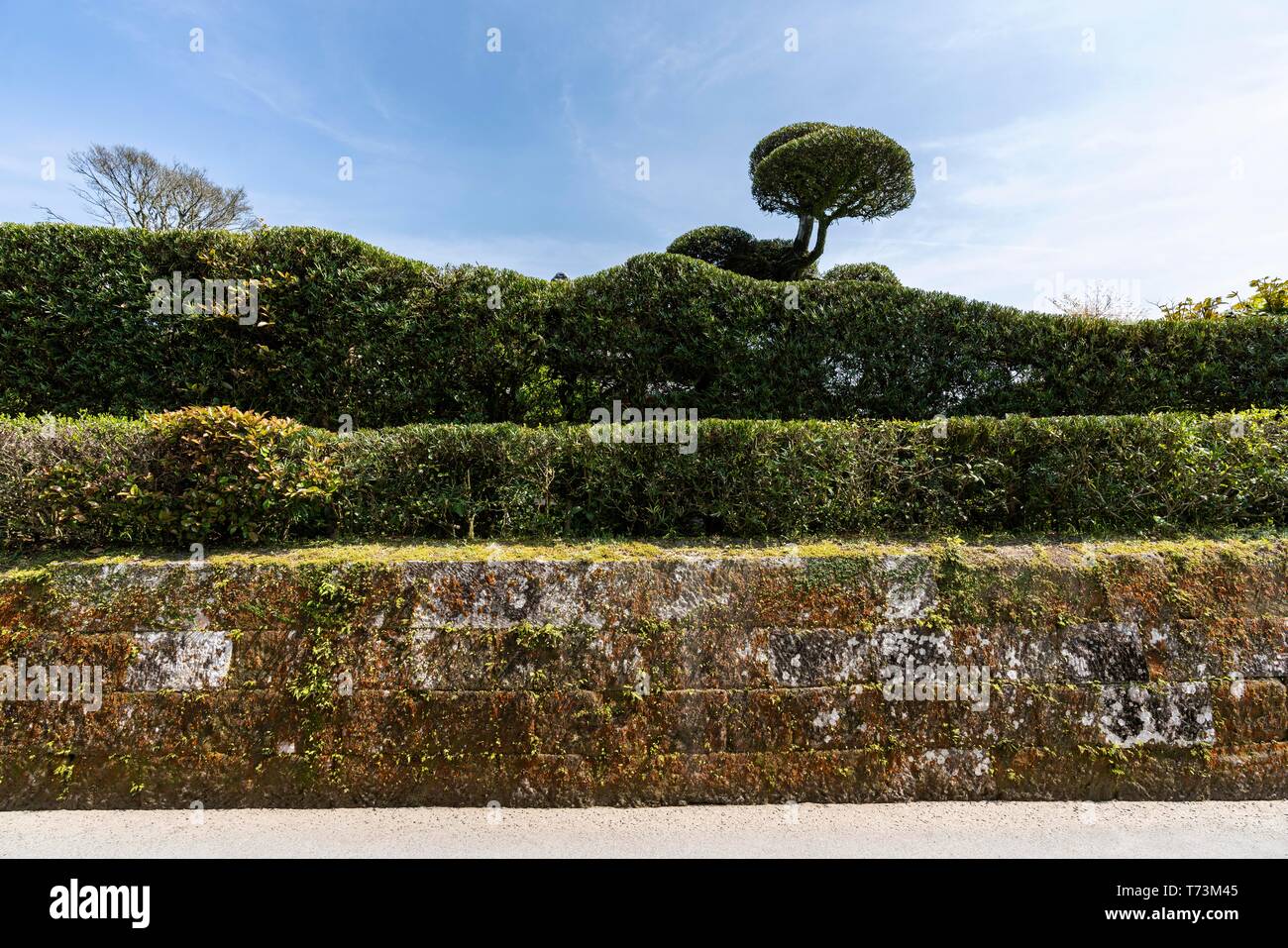 Le Jardin de Sata Naotada, Chiran Samurai Residence Garden, ville de Kyushu Minami, préfecture de Kagoshima, Japon Banque D'Images