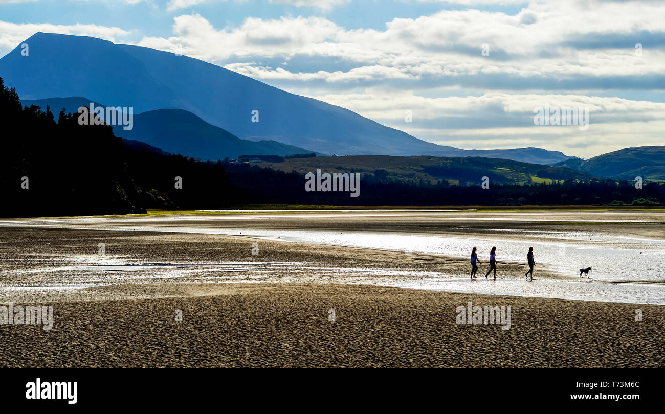 Personnes avec un chien marchant le long d'une plage de galets, Ards Forest Park et Muckish Mountain ; County Donegal, Ireland Banque D'Images