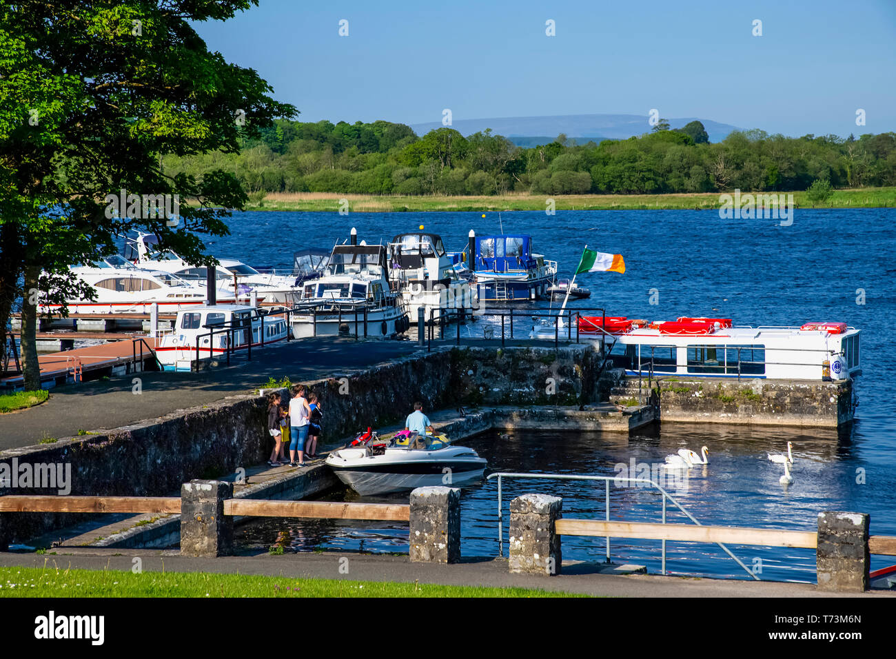 Bateaux au bord de l'eau avec des cygnes, Lough Key Forest Park, comté de Roscommon, Irlande Banque D'Images