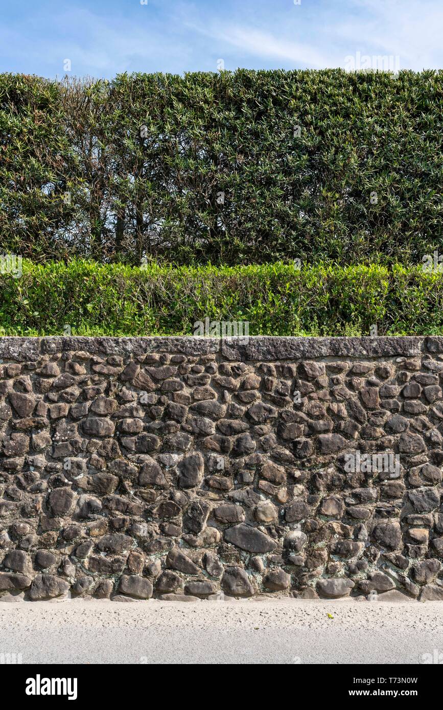 Chiran Samurai Residence Garden, ville de Kyushu Minami, préfecture de Kagoshima, Japon Banque D'Images