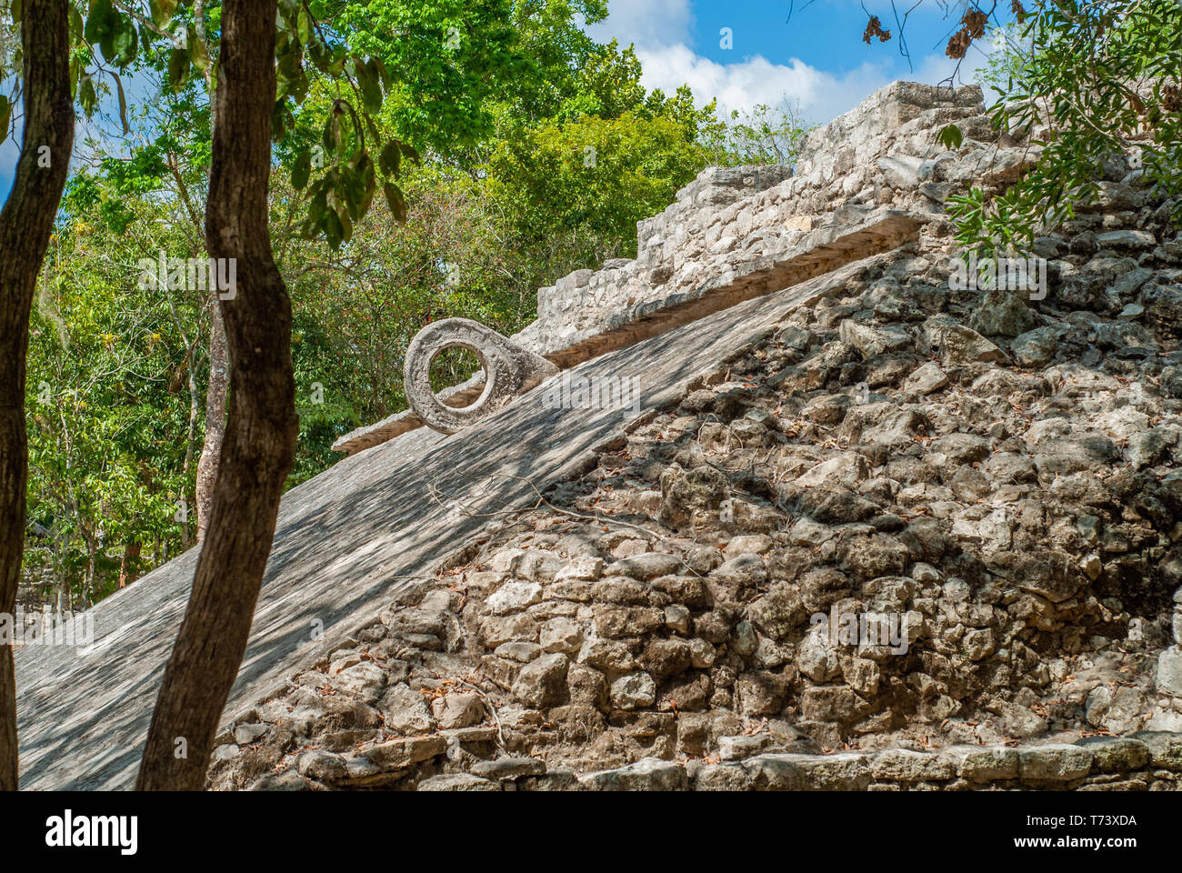 Jeu de pelote basque, anneau tourné en les ruines Maya de la zone  archéologique de Cobá, sur la péninsule du Yucatan Photo Stock - Alamy