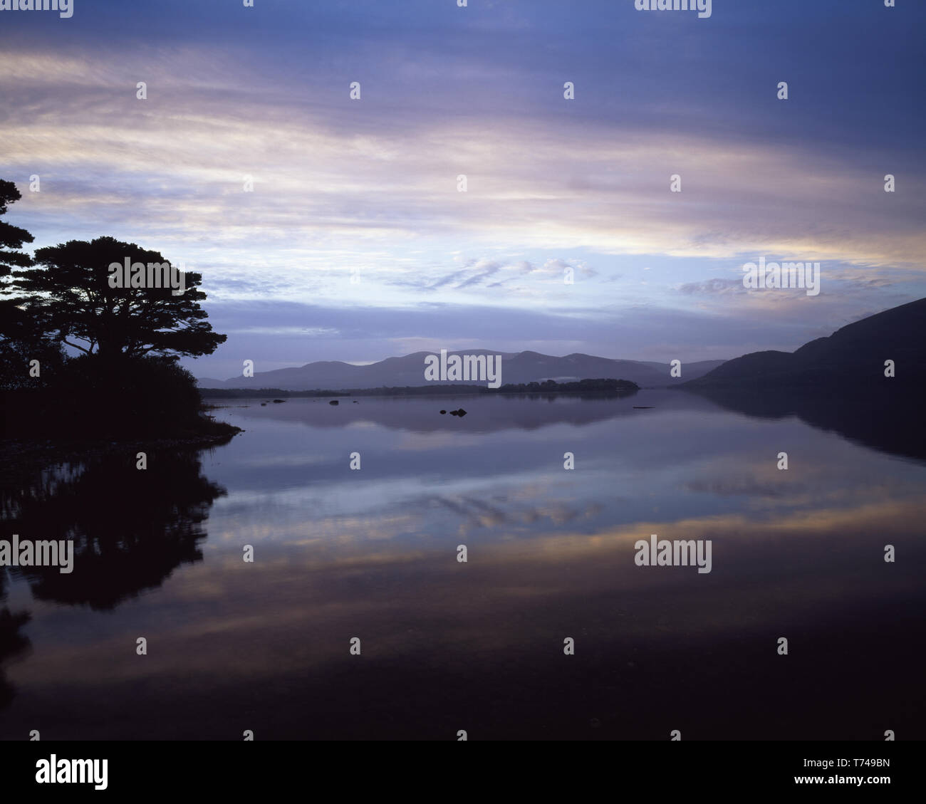 Lough Leane, les lacs de Killarney, le Parc National de Killarney, comté de Kerry, Irlande Banque D'Images